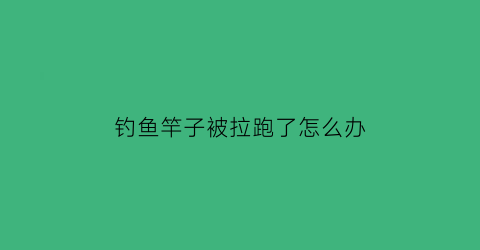 钓鱼竿子被拉跑了怎么办(鱼竿拉住了怎么办)
