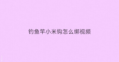 钓鱼竿小米钩怎么绑视频(自制钩鱼小米配方大全)