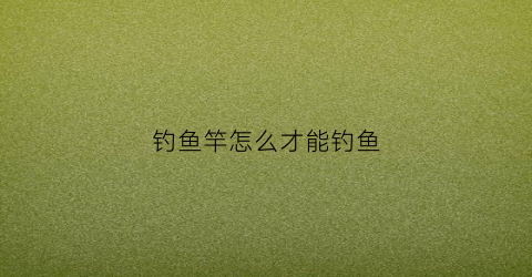 钓鱼竿怎么才能钓鱼(钓鱼竿怎么操作)