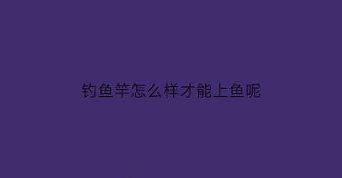 “钓鱼竿怎么样才能上鱼呢(钓鱼竿怎么样才能上鱼呢图片)