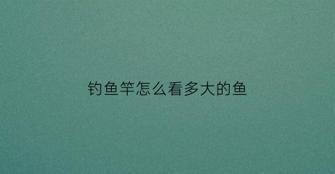 钓鱼竿怎么看多大的鱼(鱼竿大小看哪里)