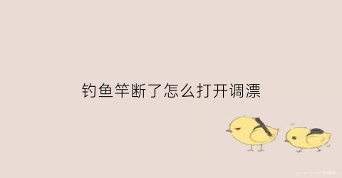 钓鱼竿断了怎么打开调漂(钓鱼鱼竿断了怎么回事)