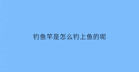 钓鱼竿是怎么钓上鱼的呢(鱼竿怎样钓鱼)