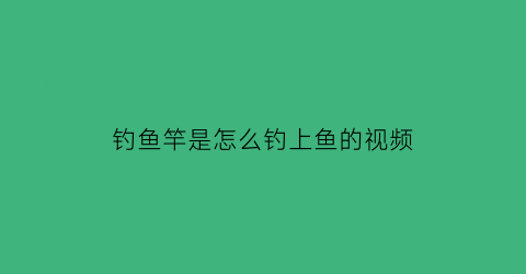 “钓鱼竿是怎么钓上鱼的视频(钓鱼竿方法)