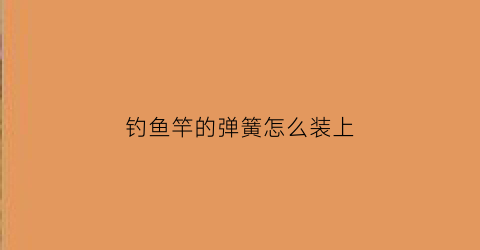 钓鱼竿的弹簧怎么装上(弹簧鱼竿怎么安装)