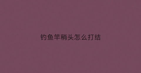 钓鱼竿稍头怎么打结(鱼竿竿稍线头怎么绑)