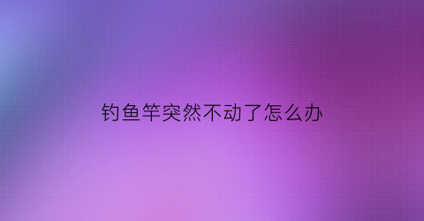 钓鱼竿突然不动了怎么办