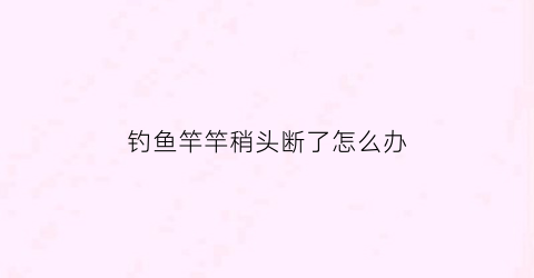 钓鱼竿竿稍头断了怎么办