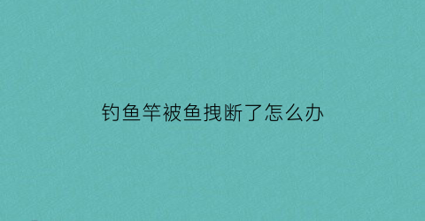 钓鱼竿被鱼拽断了怎么办(钓鱼竿断在里面了怎么搞出来)