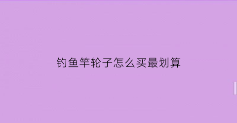 钓鱼竿轮子怎么买最划算(钓竿轮子怎么安装示意图)