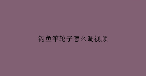 钓鱼竿轮子怎么调视频(钓竿轮子怎么安装示意图)