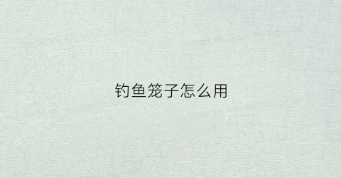 钓鱼笼子怎么用(笼子钓鱼鱼钩怎么安装视频)