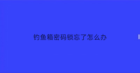 钓鱼箱密码锁忘了怎么办(钓鱼箱按装视频)