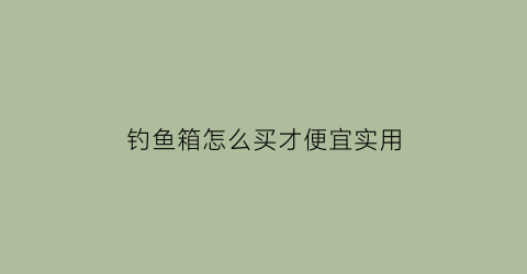 “钓鱼箱怎么买才便宜实用(想买钓箱)