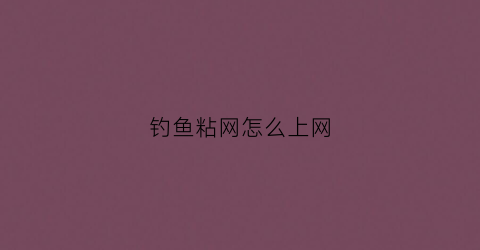 钓鱼粘网怎么上网(钓鱼粘网怎么上网视频)