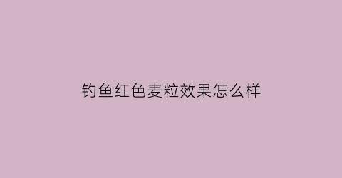 钓鱼红色麦粒效果怎么样(钓鱼红色麦粒效果怎么样啊)
