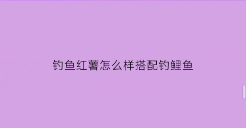钓鱼红薯怎么样搭配钓鲤鱼(钓鱼红薯怎么样搭配钓鲤鱼好)