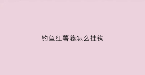 钓鱼红薯藤怎么挂钩