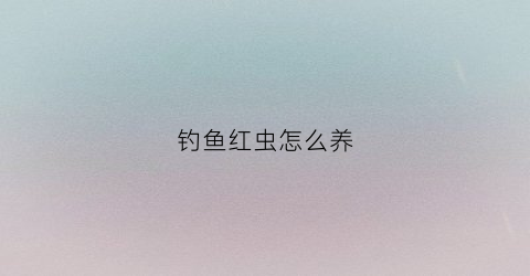 钓鱼红虫怎么养