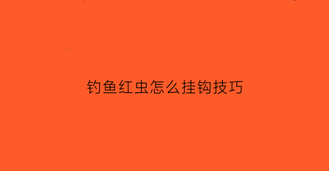 钓鱼红虫怎么挂钩技巧