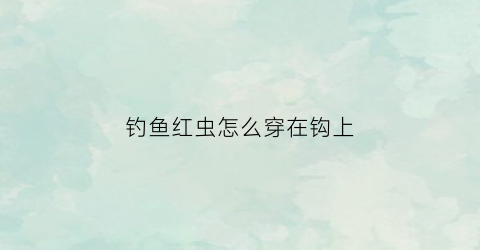 钓鱼红虫怎么穿在钩上