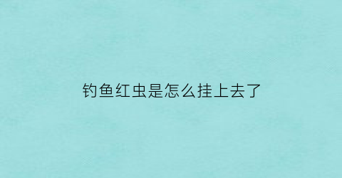 “钓鱼红虫是怎么挂上去了(钓鱼红虫挂法)