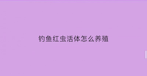 钓鱼红虫活体怎么养殖(红虫活饵能钓什么鱼)