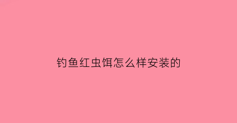 钓鱼红虫饵怎么样安装的(怎样装红虫饵在鱼钩上)