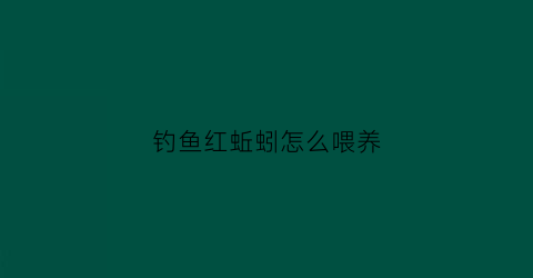 钓鱼红蚯蚓怎么喂养(钓鱼红蚯蚓怎么喂养的)