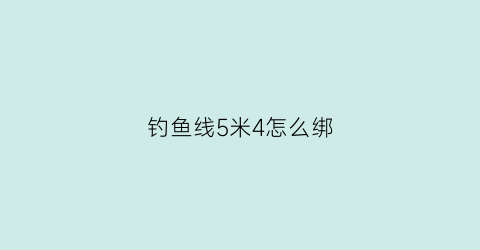 “钓鱼线5米4怎么绑(5米4鱼线组搭配)