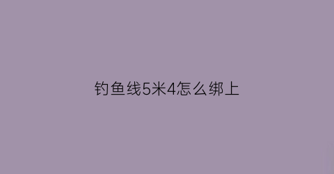 钓鱼线5米4怎么绑上(钓鱼线5米4怎么绑上鱼钩)