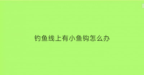 “钓鱼线上有小鱼钩怎么办(鱼线上有很多鱼钩的是什么鱼竿)