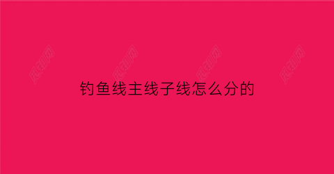 钓鱼线主线子线怎么分的(钓鱼线主线与子线如何连接好)