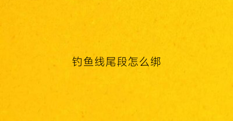 钓鱼线尾段怎么绑(钓鱼线尾段怎么绑视频教程)