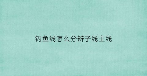 钓鱼线怎么分辨子线主线(钓鱼线的子线和主线有什么区别)
