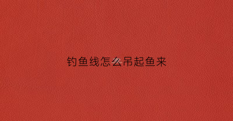 “钓鱼线怎么吊起鱼来(吊鱼线怎么打结)