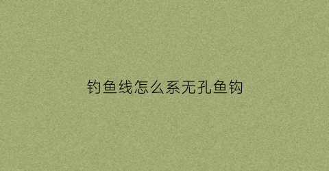 钓鱼线怎么系无孔鱼钩(绑无孔鱼钩线视频)
