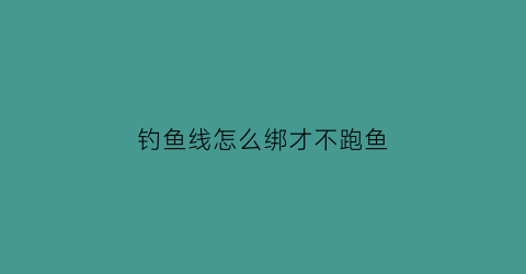 “钓鱼线怎么绑才不跑鱼(钓鱼线怎么绑结实)