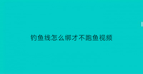 钓鱼线怎么绑才不跑鱼视频