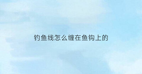 钓鱼线怎么缠在鱼钩上的(钓鱼线怎么缠绕在线圈上)