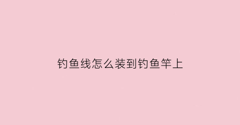 “钓鱼线怎么装到钓鱼竿上(钓鱼线怎么装在钓鱼竿上)