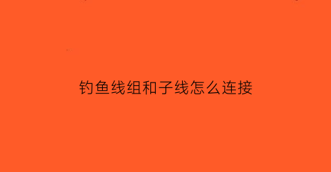 钓鱼线组和子线怎么连接(钓鱼线组子线的绑法)