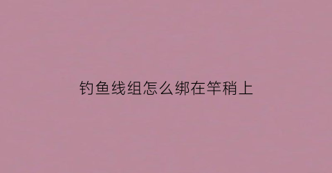 钓鱼线组怎么绑在竿稍上(线组绑竿稍的绑法)
