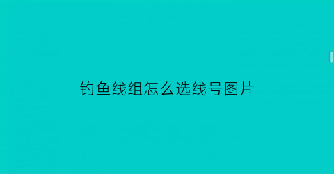 钓鱼线组怎么选线号图片(钓鱼的线组怎么配置)