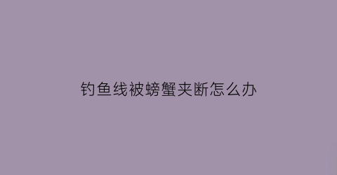 钓鱼线被螃蟹夹断怎么办