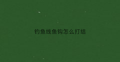 钓鱼线鱼钩怎么打结(钓鱼线鱼钩怎么打结的)