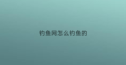 钓鱼网怎么钓鱼的(钓鱼网怎么使用)