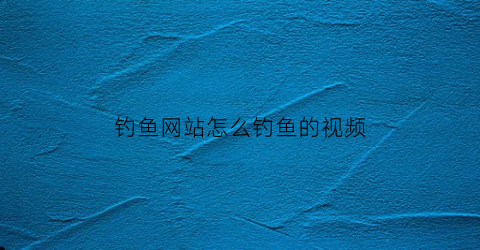 钓鱼网站怎么钓鱼的视频(钓鱼网站什么意思视频)