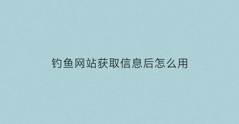 钓鱼网站获取信息后怎么用(钓鱼网站没输入信息没事吧)