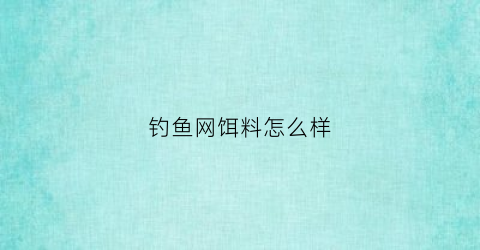 钓鱼网饵料怎么样(钓鱼网怎么用)